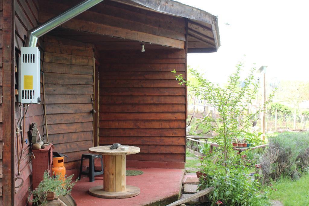Cabanas Huilipan Gonzalez Nueva Imperial Bagian luar foto