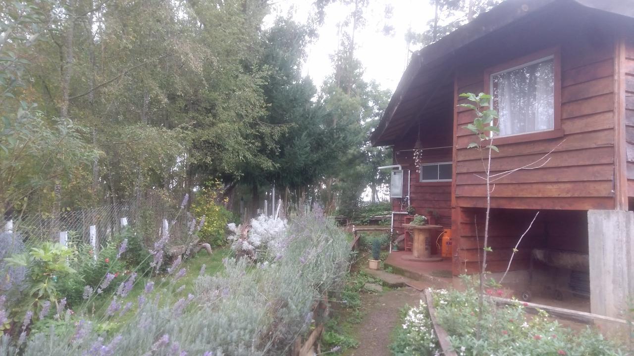 Cabanas Huilipan Gonzalez Nueva Imperial Bagian luar foto